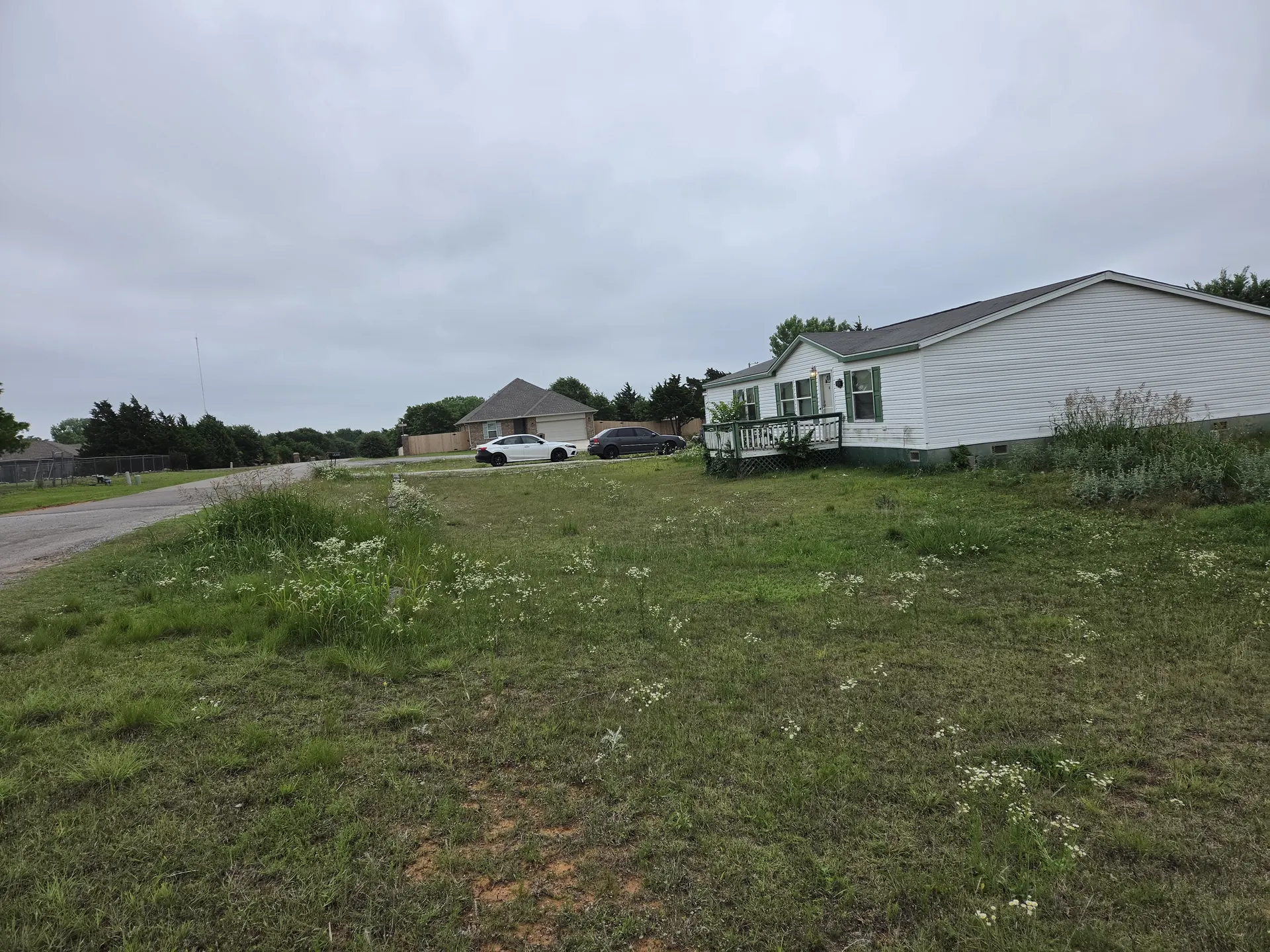 Overgrown Yard — Before