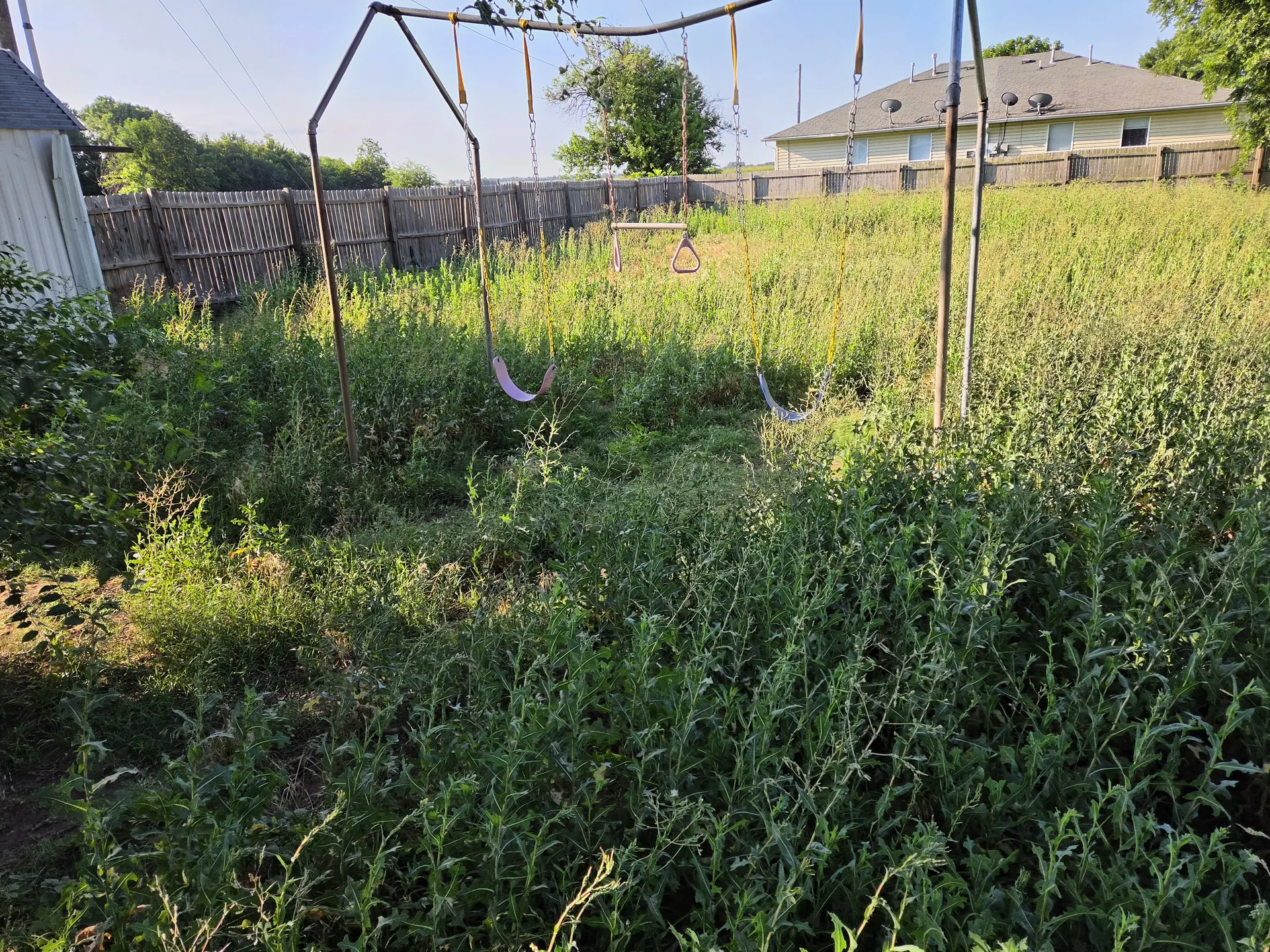 Yard Cleanup — Before