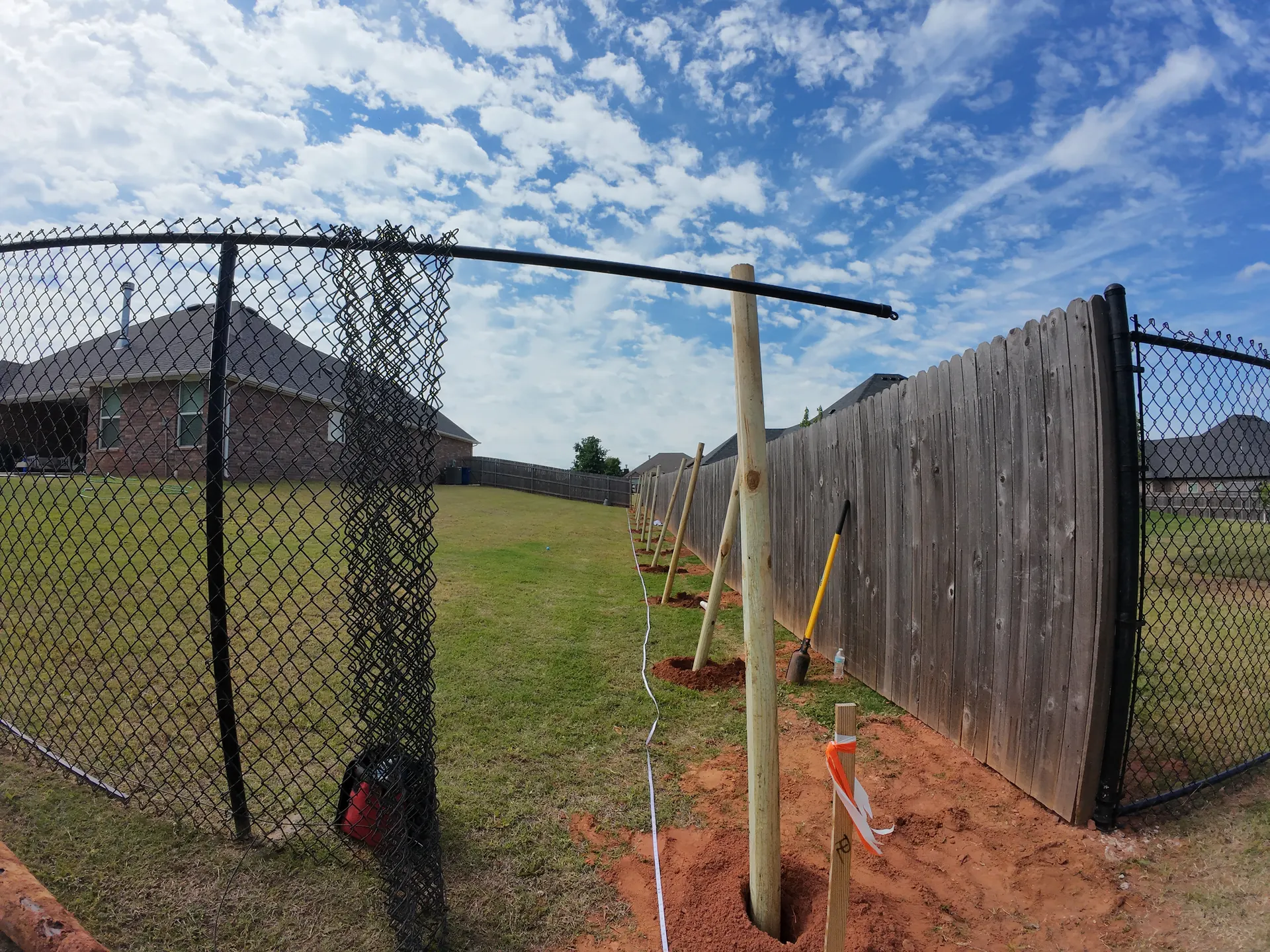 Cedar Fence Line — Before